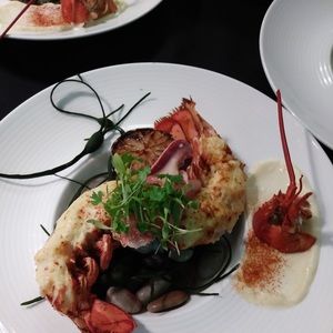 Meet your Posher, Fredi